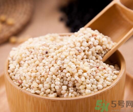 高粱米是發(fā)物嗎？高粱米是不是發(fā)物？