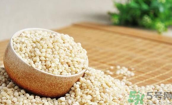 吃高粱米能減肥嗎？吃高粱米有減肥作用嗎？