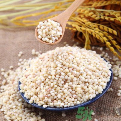 高粱米能做飯嗎？高粱米做飯好嗎？