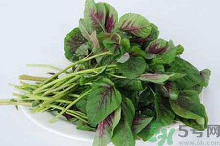 漢菜是熱性還是涼性？漢菜是涼性的嗎？
