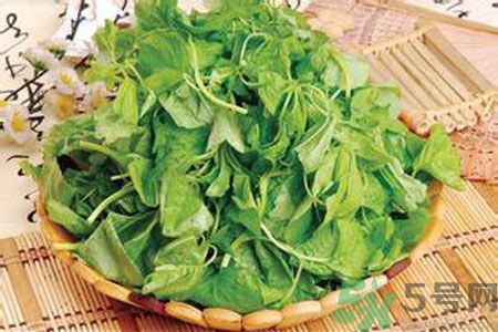 莧菜是發(fā)物嗎？莧菜是不是發(fā)物？