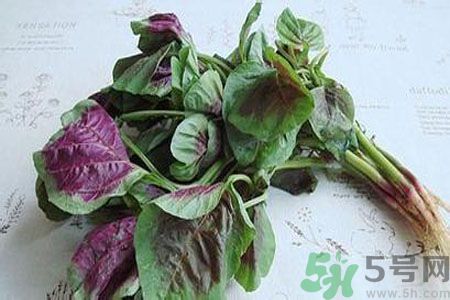 寶寶可以吃漢菜嗎？寶寶吃漢菜好嗎？