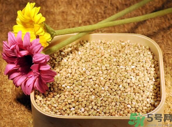 蕎麥?zhǔn)前l(fā)物嗎？蕎麥?zhǔn)遣皇前l(fā)物？