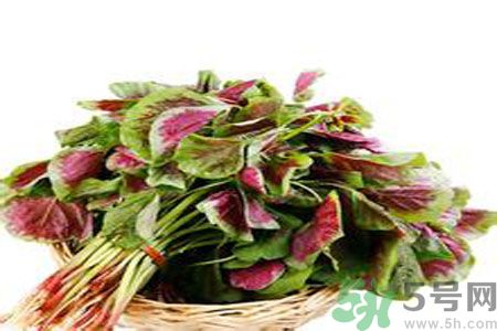 胃不好可以吃莧菜嗎？胃不好吃莧菜好嗎？