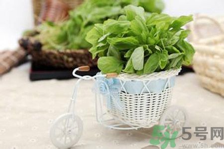 月經(jīng)期間可以吃漢菜嗎？來月經(jīng)可以吃漢菜嗎？