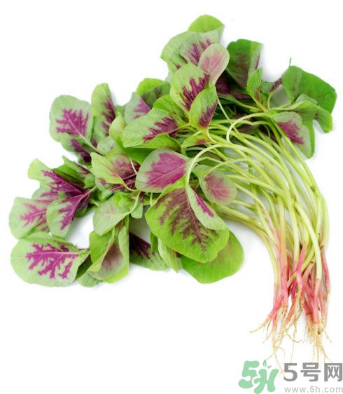 吃莧菜會皮膚過敏嗎？吃莧菜皮膚過敏怎么辦？