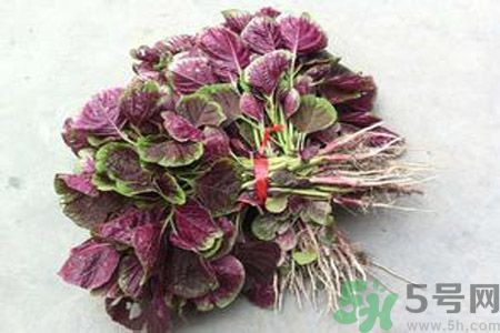 衣服上染上了莧菜汁怎么辦？衣服上的莧菜汁怎么洗掉？