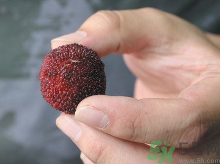 楊梅里面的蟲子能吃嗎？楊梅里面的蟲子吃了會(huì)怎么樣？