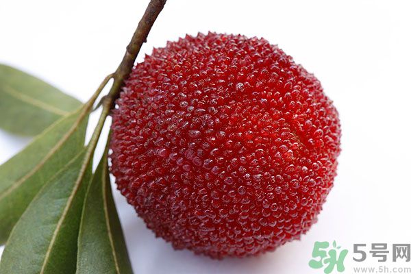 楊梅里面的蟲子能吃嗎？楊梅里面的蟲子吃了會(huì)怎么樣？