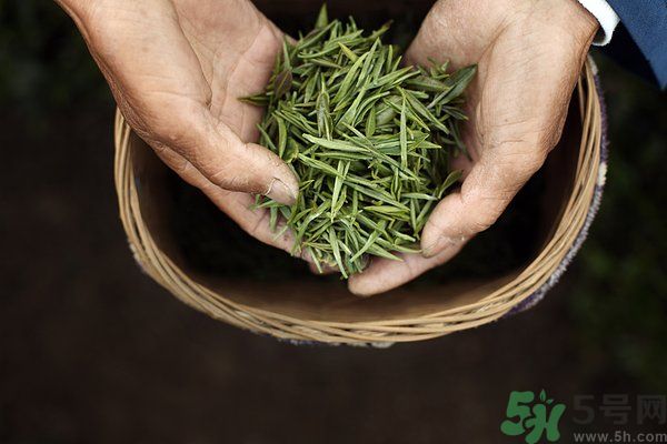 吃魚的時(shí)候能喝茶嗎？吃魚可以喝茶嗎？