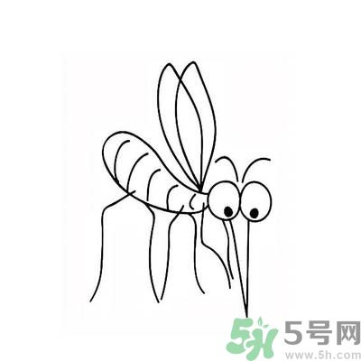 夏天家中有蒼蠅怎么辦？夏天如何滅蒼蠅？