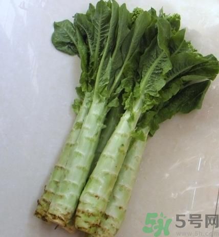 筍子是不是發(fā)物？筍子是發(fā)物嗎？