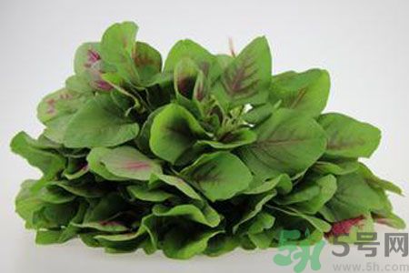 莧菜可以生吃嗎？莧菜生吃了會(huì)怎樣？