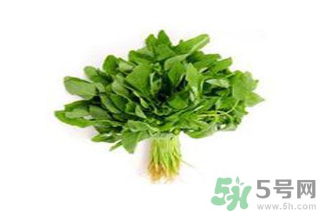 莧菜可以生吃嗎？莧菜生吃了會(huì)怎樣？