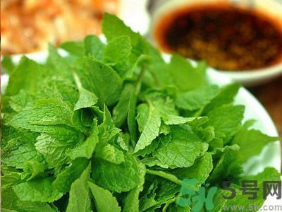薄荷可以炒菜吃嗎？薄荷可以用來(lái)炒菜嗎？