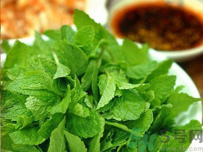 薄荷有什么功效？薄荷的攻效是什么？