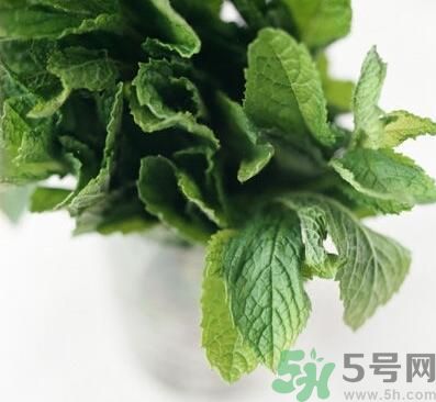 薄荷有什么功效？薄荷的攻效是什么？