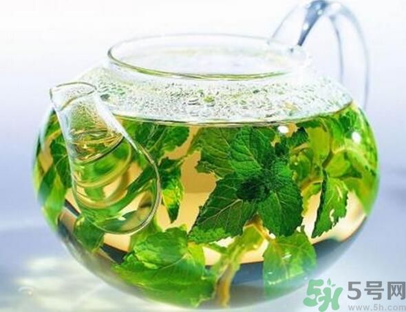 薄荷茶怎么泡好喝？薄荷茶的沖泡方法有哪些？
