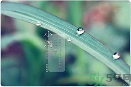 小滿容易得什么皮膚??？小滿得了皮膚病怎么辦？
