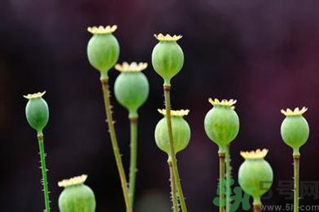 小滿做什么運(yùn)動(dòng)好？小滿運(yùn)動(dòng)要注意什么？