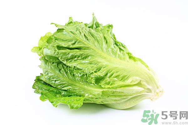 生菜在冰箱放久了能吃嗎？如何分辨生菜新不新鮮？