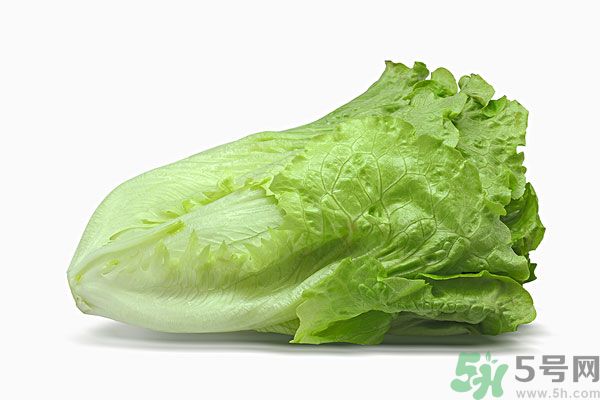 生菜在冰箱放久了能吃嗎？如何分辨生菜新不新鮮？