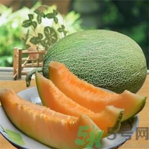 吃哈密瓜可以喝可樂嗎？喝可樂可以吃哈密瓜嗎？