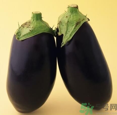 青皮茄子和紫皮茄子有什么區(qū)別？青皮茄子好還是紫皮茄子好？