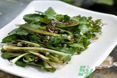 寶寶可以吃苦菜嗎？寶寶多大可以吃苦菜？