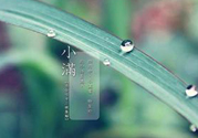 為什么小滿濕氣重？小滿怎么除濕氣？