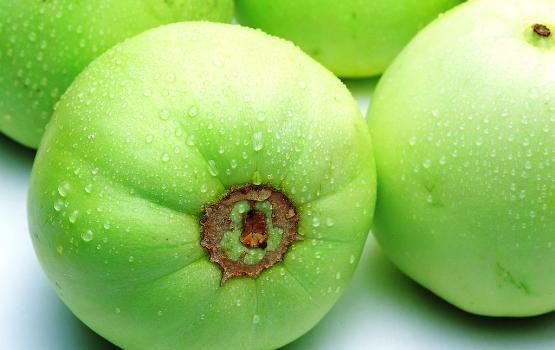 甜瓜可以放幾天？甜瓜可以保存幾天才會(huì)壞？