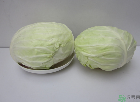 包菜榨汁要加水嗎？包菜汁怎么做？