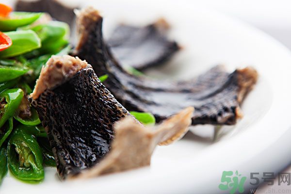 蛇肉有什么功效？蛇肉的功效是什么？