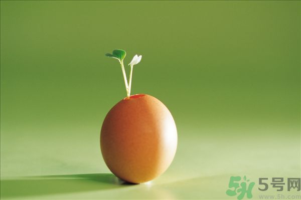 生菜和雞蛋能一起吃嗎？生菜和雞蛋一起怎么做？