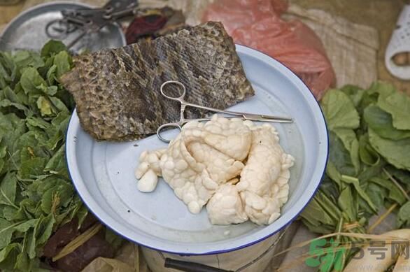 夏天吃蛇肉可以清火嗎？夏天吃蛇肉可以降火嗎？