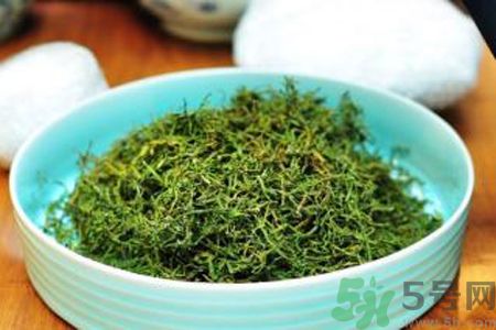 怎么挑選苦菜茶？挑選苦菜茶的技巧
