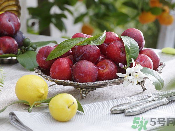 為什么說(shuō)李子樹下埋死人？李子的食用禁忌有哪些？