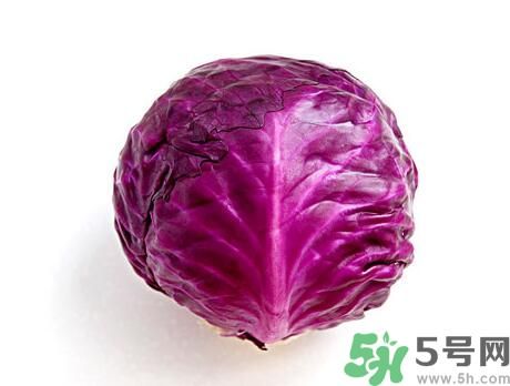 紫甘藍是涼性嗎？紫甘藍是涼性還是熱性？