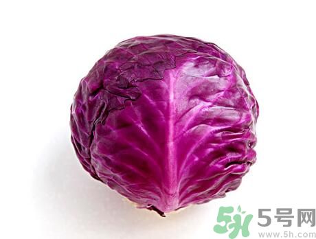 吃紫甘藍可以減肥嗎？吃紫甘藍有減肥作用嗎？
