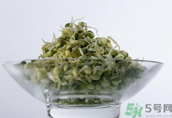 夏天吃綠豆芽可以清火嗎？夏天吃綠豆芽能降火嗎？