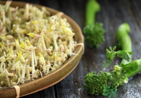 怎樣自己發(fā)綠豆芽？綠豆芽怎樣自己發(fā)？