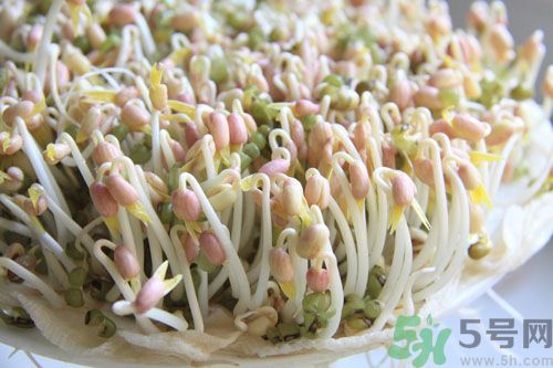 吃毛豆可以減肥嗎？吃毛豆有減肥作用嗎？