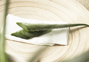 孕婦可以吃蘆薈嗎？孕婦吃蘆薈會(huì)怎樣？