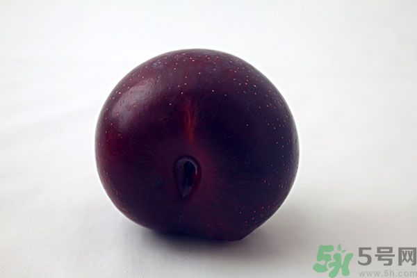 黑布林是李子嗎？黑布林的功效與作用