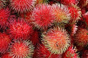 吃紅毛丹上火嗎？吃紅毛丹上火怎么辦？