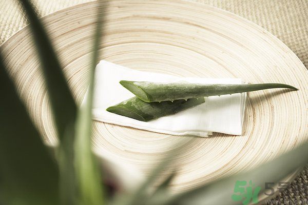 蘆薈可以吃嗎？蘆薈怎么吃？