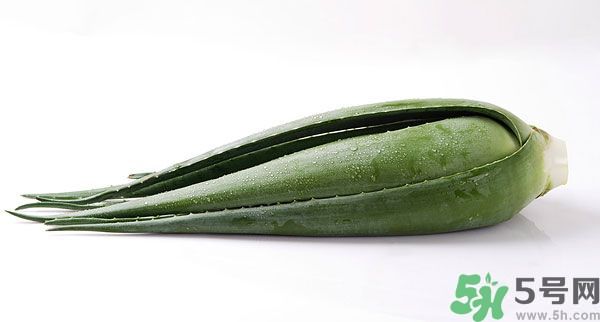 經(jīng)期可以吃蘆薈嗎？經(jīng)期吃蘆薈會肚子痛嗎？