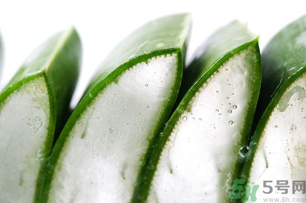 孕婦可以吃蘆薈嗎？孕婦吃蘆薈會怎樣？