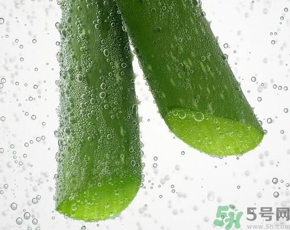 夏天吃蘆薈可以降火嗎？夏天吃蘆薈能清火嗎？
