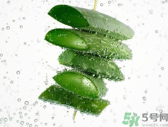 蘆薈怎么榨汁好喝？蘆薈可以榨汁嗎？